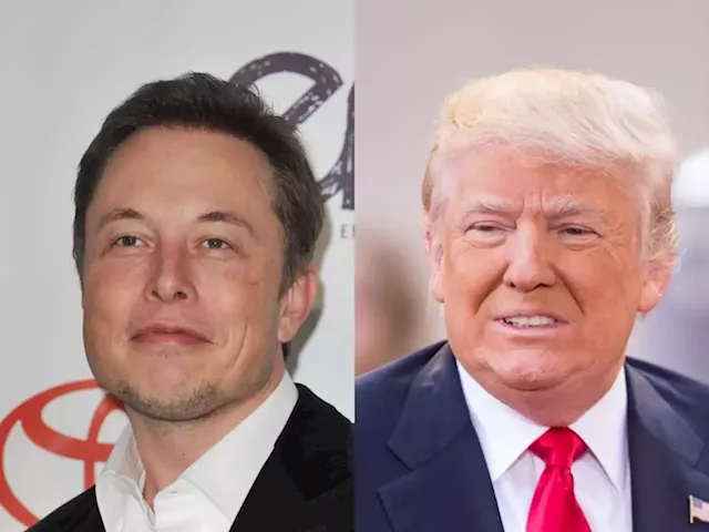 Donald Trump’s Twitter Could Be Reinstated Soon Thanks to Elon Musk’s Latest & Most Bizarre Business Move Yet