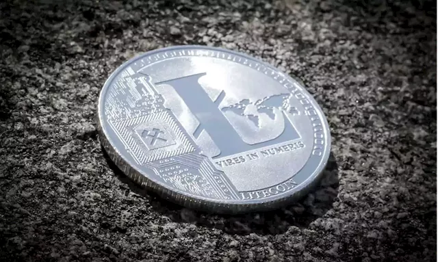 Litecoin Soars 10%, Bitcoin Sustains $20K (Market Watch)