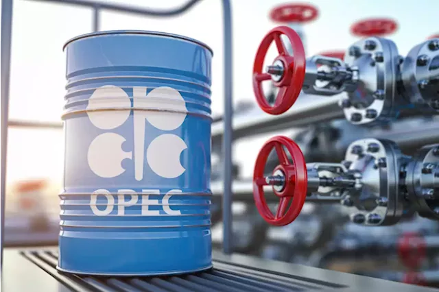 $12.1trn Investment Required To Meet Global Oil Demand – OPEC