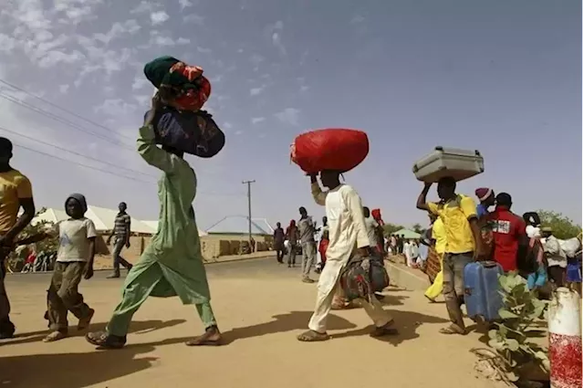 Nigerians displaced by insurgency struggling for food, shelter - HRW - SABC News - Breaking news, special reports, world, business, sport coverage of all South African current events. Africa's news leader.