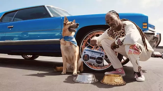 After rapper launches pet accessory brand, now your dog can dress like Snoop Dogg | CNN Business