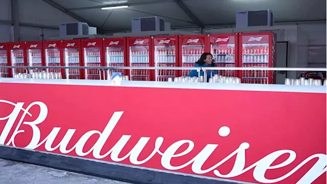 Budweiser World Cup campaign curbed, not crashed, by Qatar beer ban - SABC News - Breaking news, special reports, world, business, sport coverage of all South African current events. Africa's news leader.