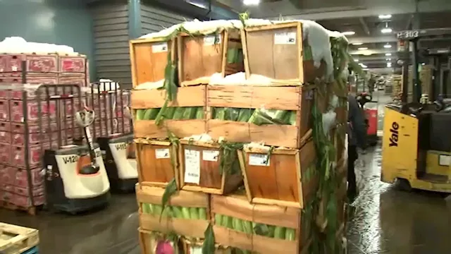 30 million pounds of fresh produce sold by Hunts Point Produce Market in NYC this Thanksgiving