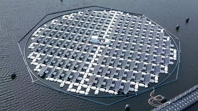 A Portuguese company's innovative floating solar panels stalk the Sun's movements