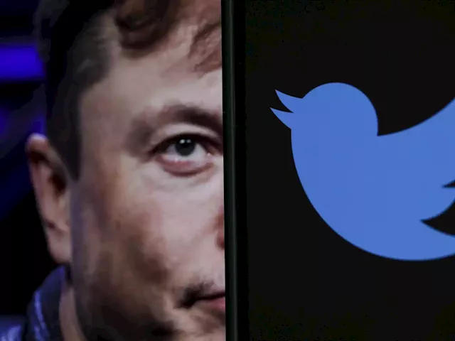 Elon Musk says the issue of child sexual exploitation content on Twitter is 'Priority #1' | Business Insider