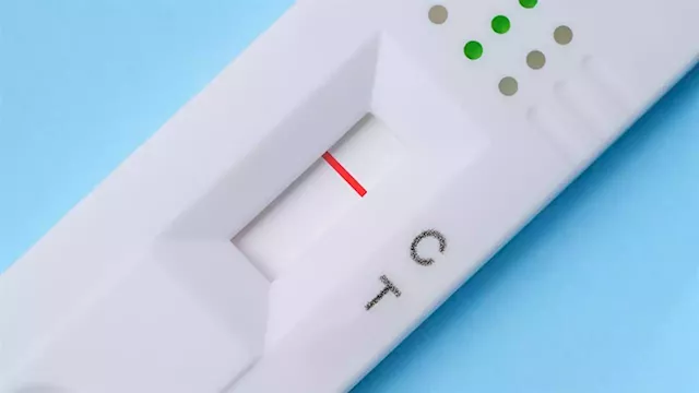 You can finally buy Covid-19 home tests in South Africa - here's what you need to know | Business Insider