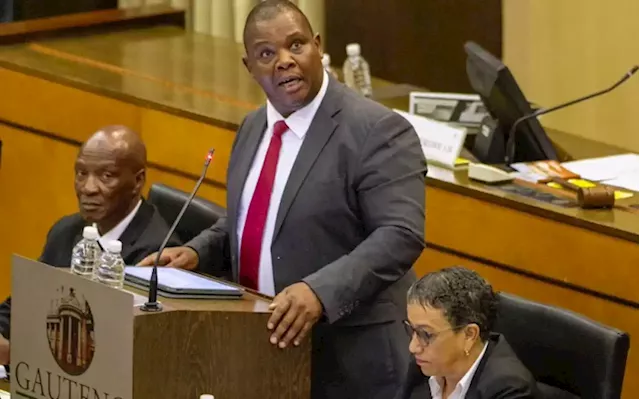 Gauteng’s budget adjusted by R2.4 bn – Finance MEC Mamabolo