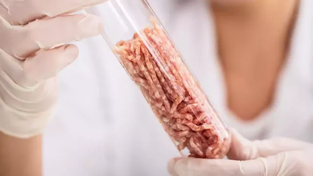 An Israel-based company produces lab-grown, cultivated meat without cruelty