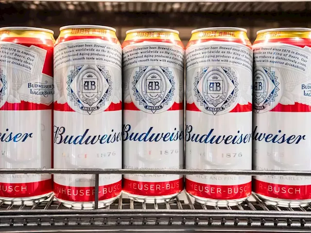 Budweiser plans to ship unsold beer to country that wins World Cup, after Qatar's U-turn on alcohol | Business Insider