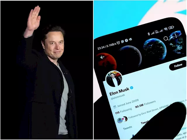 Elon Musk says Twitter users will be able have a 'secondary tiny logo' showing they belong to a verified organisation | Business Insider