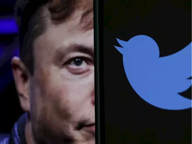 Musk says he's going to grant 'amnesty' to banned accounts as Twitter struggles to deal with hate speech | Business Insider