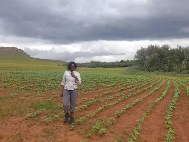 Farmer from Matatiele wins award for rural-based small business