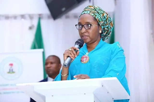 Where the allegation goes wrong in Project NSSNP-SU Budget | Re: Finance Ministry on the spot over N424bn ‘padding’ | TheCable