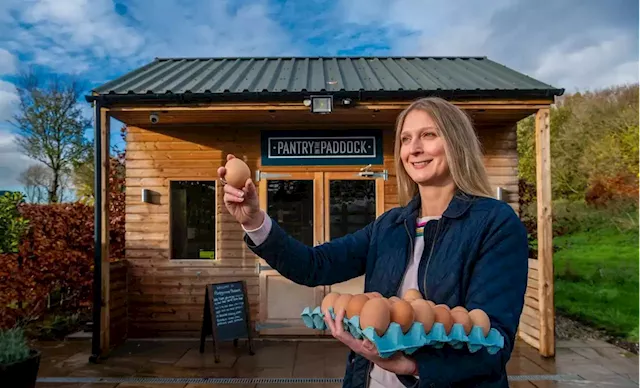 Pantry in the Paddock: The story of how a small egg business became Yorkshire's first vending machine-only farm shop