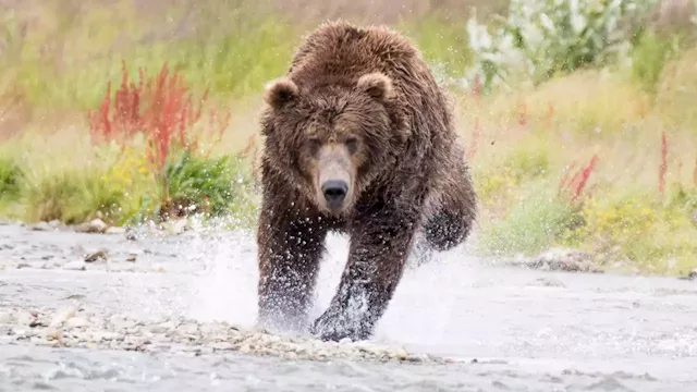 After More Than 380 Days, Crypto Supporters Celebrate Surviving the Second-Longest Bitcoin Bear Market – Bitcoin News