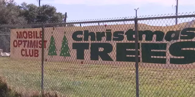 Mobile Optimist Club’s Christmas Tree lot is back in business this year