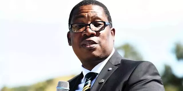 ConCourt picket against Walus parole not an attack on judiciary: Lesufi - SABC News - Breaking news, special reports, world, business, sport coverage of all South African current events. Africa's news leader.