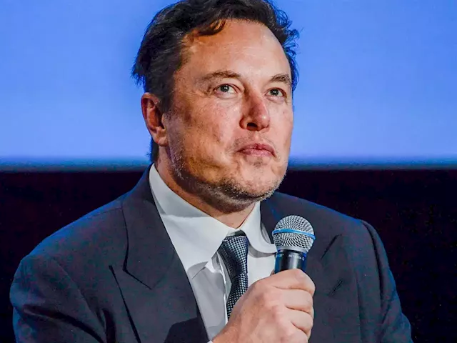 Elon Musk says Twitter is recruiting just weeks after laying off half the company's staff | Business Insider