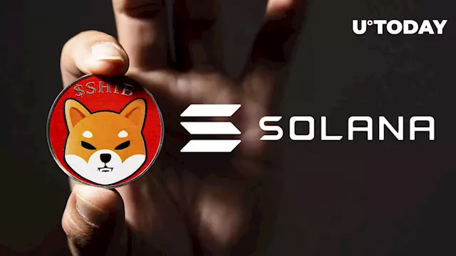 SHIB Can Finally Take Over Solana in Market Cap Top If These Things Happen