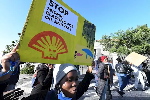 Mantashe, lobby groups face off in high court in Shell seismic survey appeal bid | Business