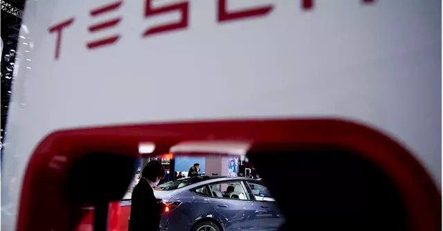 Tesla market share could be dented by cheaper rival EVs - S&P Global Mobility