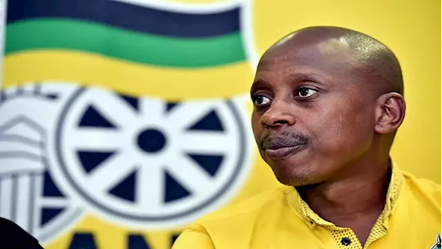 Andile Lungisa's suspension process concluded: ANC Eastern Cape - SABC News - Breaking news, special reports, world, business, sport coverage of all South African current events. Africa's news leader.