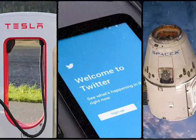 Tesla vs Twitter vs SpaceX: How much are Elon Musk's companies worth?