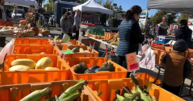 Park Ridge Farmers Market approaching decision about whether to move market for 2023 season