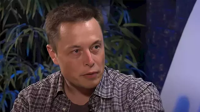 Elon Musk Expresses His Questionable Market Opinion