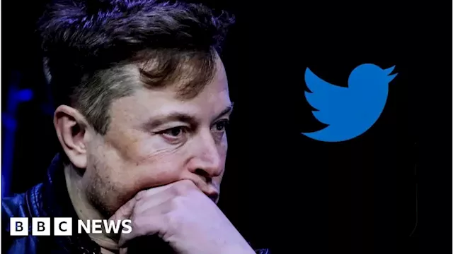 Twitter: Elon Musk blames 'activist groups' for earnings drop