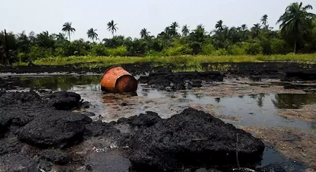 Oil companies polluting environment to be sanctioned - FG