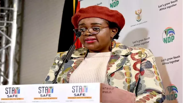 Minister Mmamoloko Kubayi guns for ANC Deputy President position - SABC News - Breaking news, special reports, world, business, sport coverage of all South African current events. Africa's news leader.