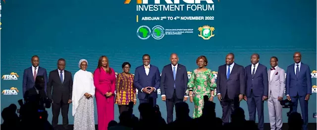 AfDB secures $31bn at 2022 Africa Investment Forum | TheCable