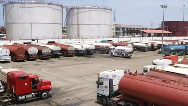 ‘NPA charges dues in dollars’ -- oil marketers lament poor access to official FX market | TheCable