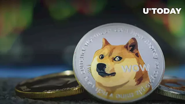 DOGE Pump Crashed Crypto Market Again, Here's What Happened