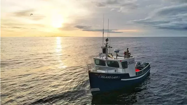 Two N.L. fishing industry organizations calling for federal inquiry into fishing vessel safety | SaltWire