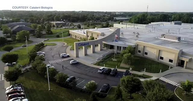 Pharmaceutical company Catalent to lay off 400 employees at Bloomington location