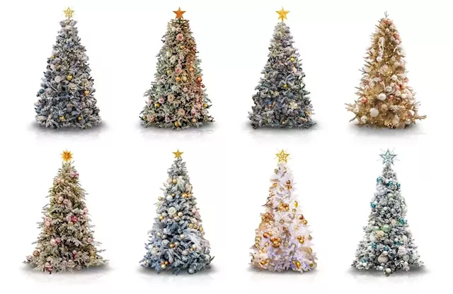 Still need a Christmas tree? Here are a couple of options – for around R8,000. | Business Insider