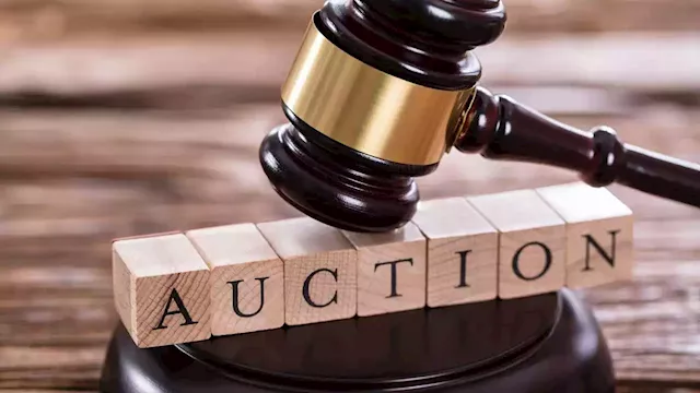 Practitioner craves enabling environment for auction business | The Guardian Nigeria News - Nigeria and World News