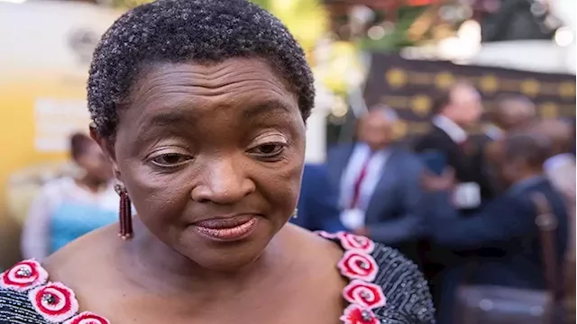 ANC Integrity Commission to explain Dlamini's disqualification from contesting for NEC positions - SABC News - Breaking news, special reports, world, business, sport coverage of all South African current events. Africa's news leader.