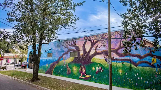 Murals with Meanings initiative in Jacksonville - Jacksonville Business Journal