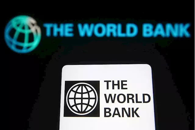 Developing economies' debt more than doubled over decade: World Bank | Business