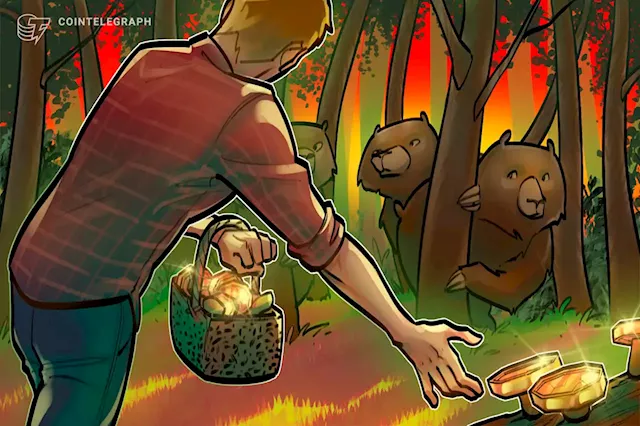 Bitcoin bear market 70% dip kills BTC 'tourists' as metric screams buy