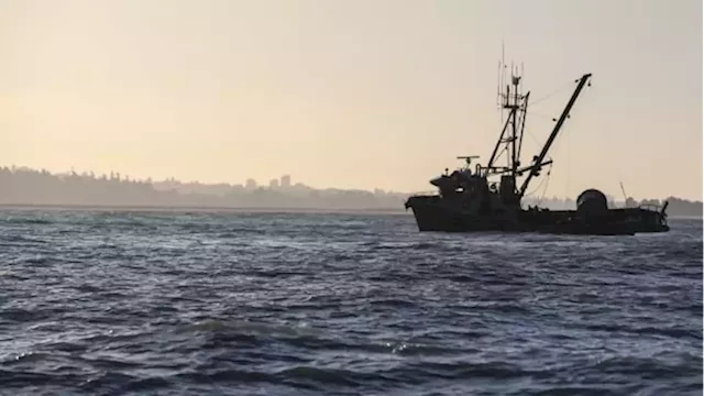 Ottawa announces plan to buy licences to reduce size of Pacific salmon fishing industry | CBC News