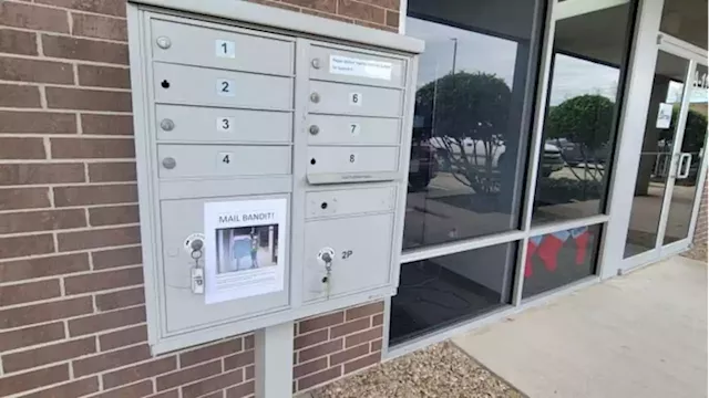 Mail thief caught on video after Spring Branch small business has checks stolen