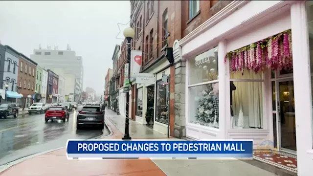 Downtown business owner concerned about proposed changes for pedestrian mall