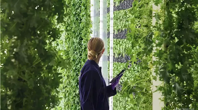 Vertical farming unicorn Plenty shutters South S.F. indoor farm - San Francisco Business Times