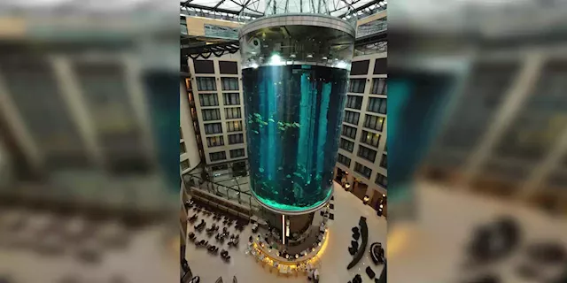 WATCH | Burst fish tank in Berlin hotel spilt almost 1 million litres of water | Business Insider