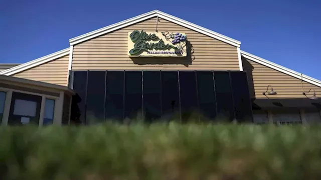 A lettuce production problem cost Olive Garden owner millions | CNN Business