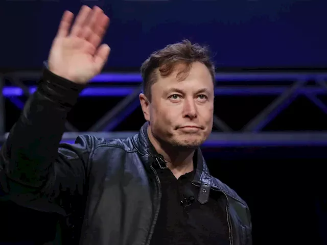 Elon Musk reinstates journalists who were suspended from Twitter after conducting a poll | Business Insider